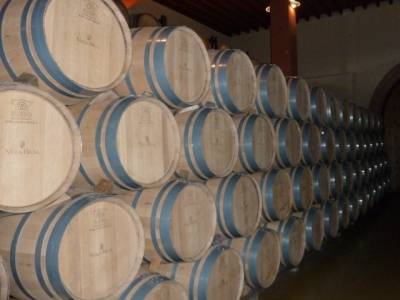 Visita enológica a Peñafiel – Ribera del Duero; senderismo buitrago de lozoya